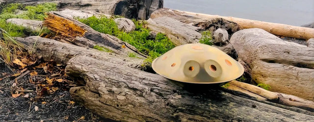 Handpanuni's golden handpan named "Sunlight" is placing on a tree